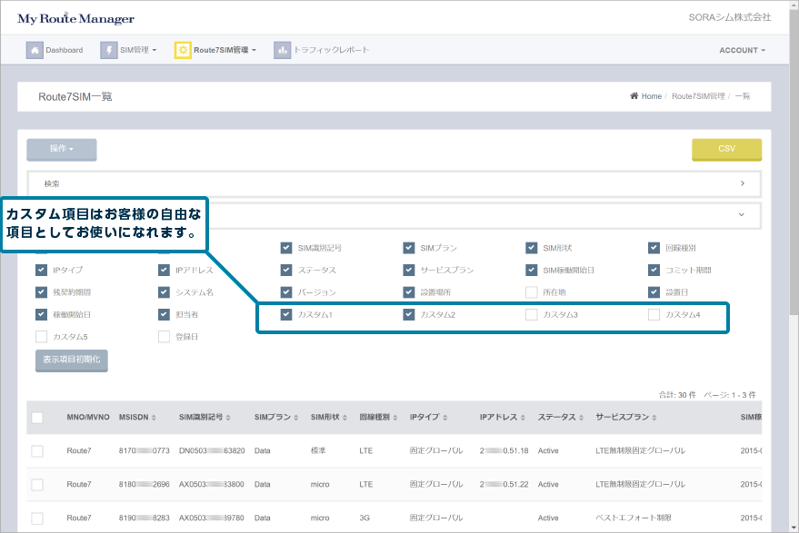 SIMに関する表示項目