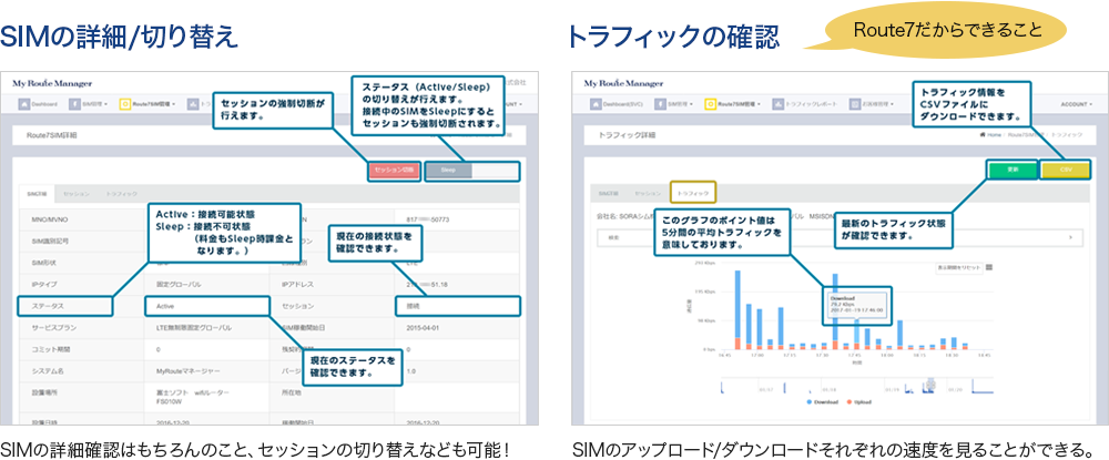 SIMの詳細・切り替え　トラフィックの確認