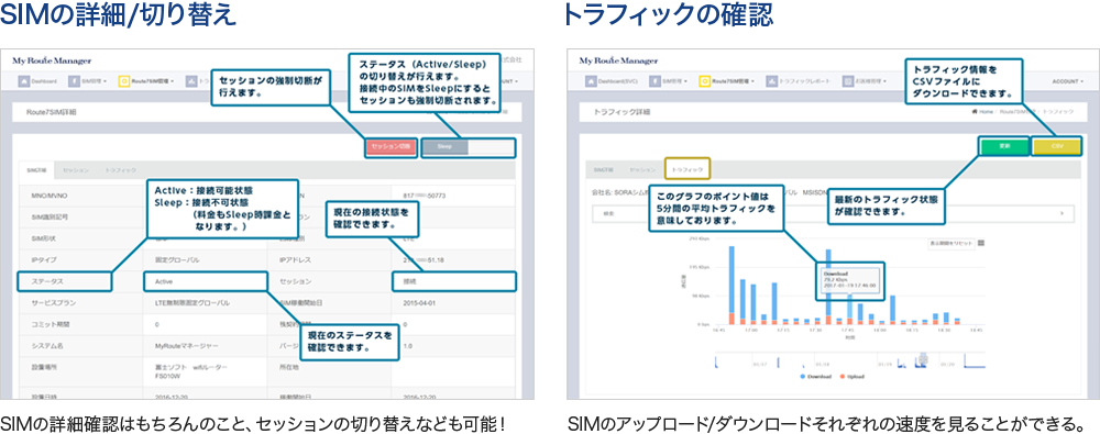 SIMの詳細・切り替え　トラフィックの確認