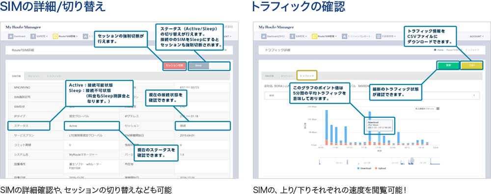 SIMの詳細・切り替え　トラフィックの確認